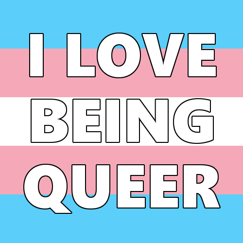 queerlection: [Image description - Images of the trans, bi, asexual, genderfluid, rainbow, pan, inte