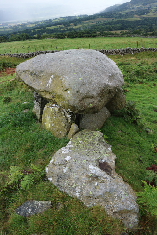 Maen y Bardd Neolithic Tomb, Conwy, 4.8.16. This distinctive structure provides a notable marker on 