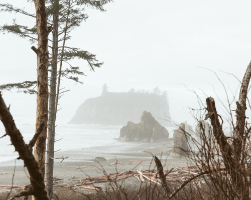 michaelbrunt:Ruby Beach from behind the trees.