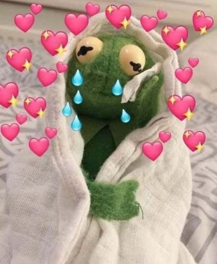 THANK YOU SHANNA FOR THIS SERIES THAT ABSOLUTELY SAVED MY 2020 I COULD NOT HAVE ASKED FOR ANYTHING MORE