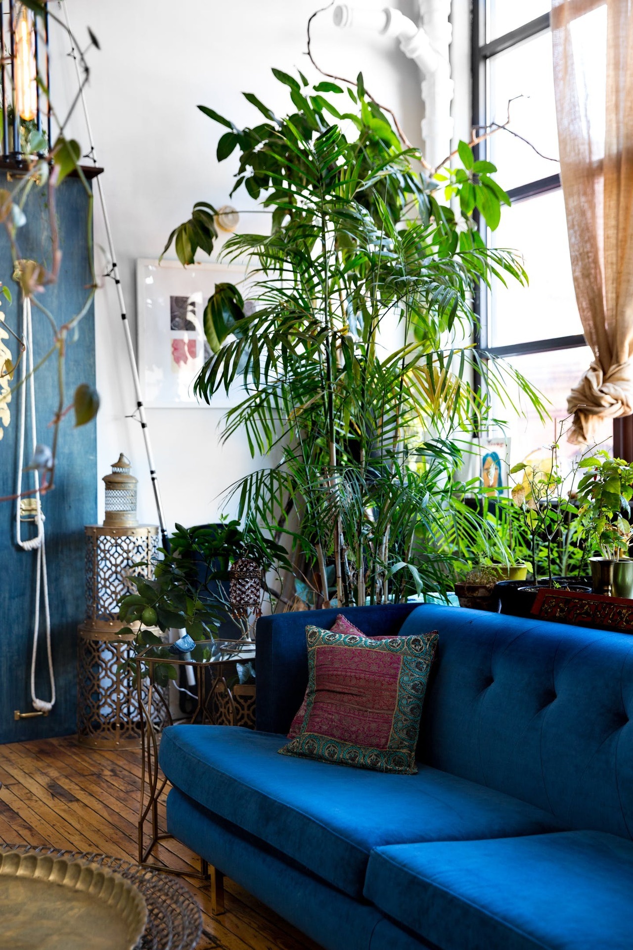 gravityhome:  Plant-filled loft in Brooklyn | photos by Minette Hand  Follow Gravity