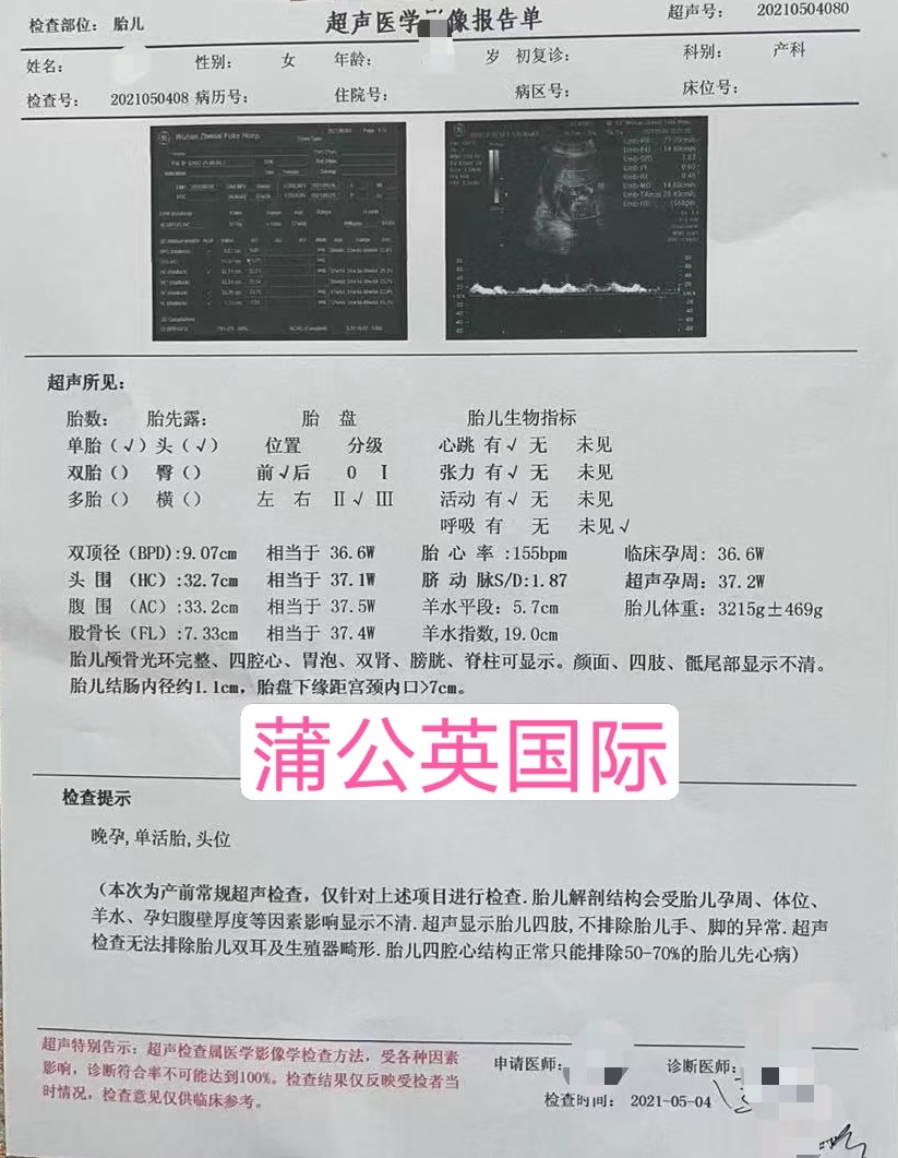 代孕包成功 Explore Tumblr Posts And Blogs Tumgir 代孕包成功 Explore Tumblr Posts And Blogs Tumgir