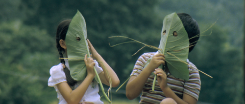 The Green, Green Grass of Home (Hou-Hsiao Hsien, 1982)