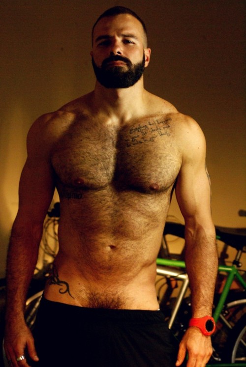 hyper-masculine:    ► HYPER-MASCULINE ♂ ◄ [page]♂ ♂♦ Hyper-Masculine ARCHIVE ♦ [all pics]     OMG - he is what dreams are made of - Hairy, Sexy, Handsome - WOOF