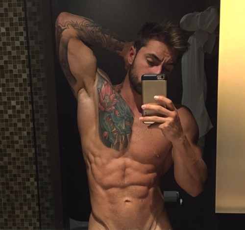 Adonis Files