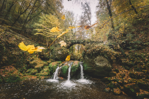 canipel:Fall. | Make sure you follow > Shot By Canipel & Instagram