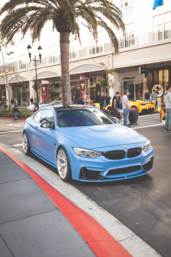 The Bimmer Blog