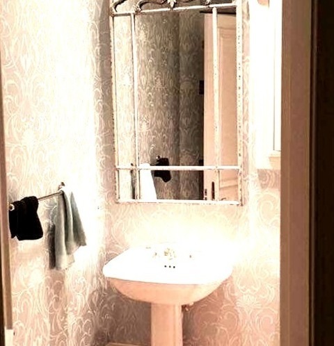Powder Room - Transitional Powder Room
