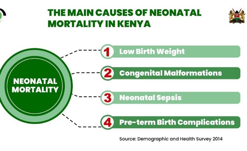 Abuja Rock Nigeria — Kenya: Reducing Neonatal Mortality in Kenya By...