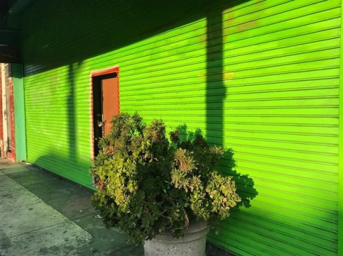 back in the #streets of #sf . . #themission #green #airandlight