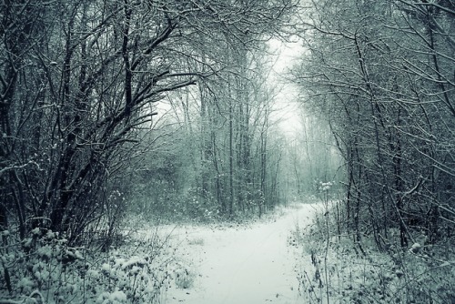 ambermaitrejean:Snow-covered paths. Photos by Amber Maitrejean