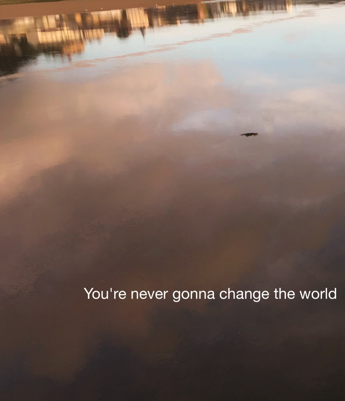paralysedwithguilt:  Gone // Knuckle Puck
