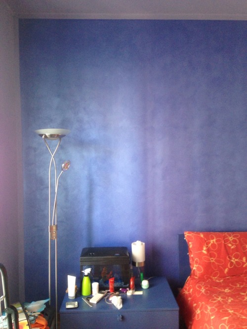 finally it’s sunny so my newly painted bedroom walls show their great color