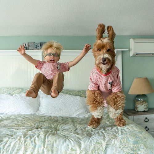 Happiness via @reagandoodle:“Jumping on the bed makes Little Buddy and me very hoppy. #love 