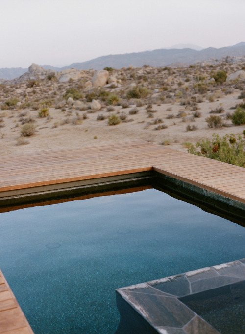 justinchungstudio: Joshua Tree, CA.