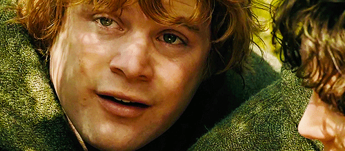 Frodo wouldn’t have got far without Sam.