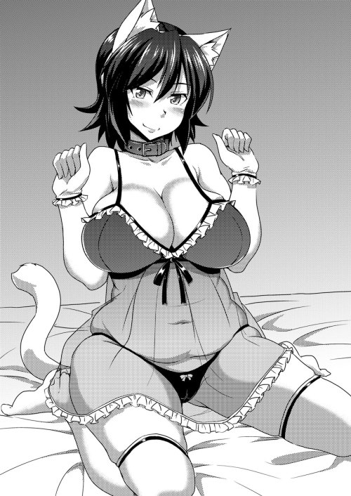 Sexy catgirls and stuff