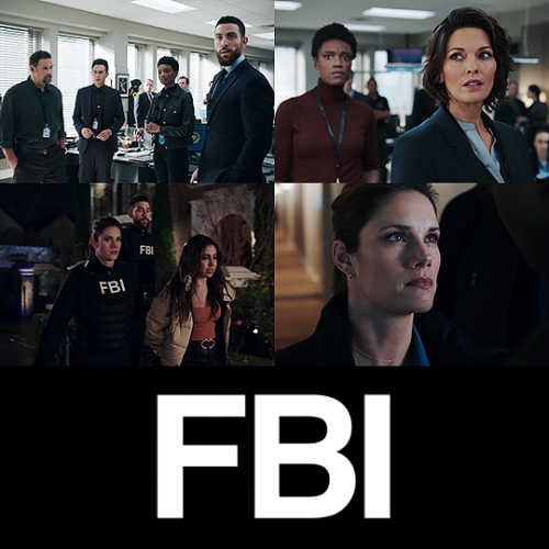 FBI 3.01 - 3.06↳ 1080p logofree screencaps