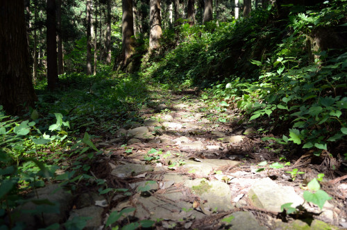 大河の影響で明智光秀ゆかりの地を巡ってきました。まずはここ明智神社。小さな社には光秀公が祀られてます。朝倉義景の下にいた時にこの辺りに住んでいたのですが、この地を去り信長の配下となった光秀