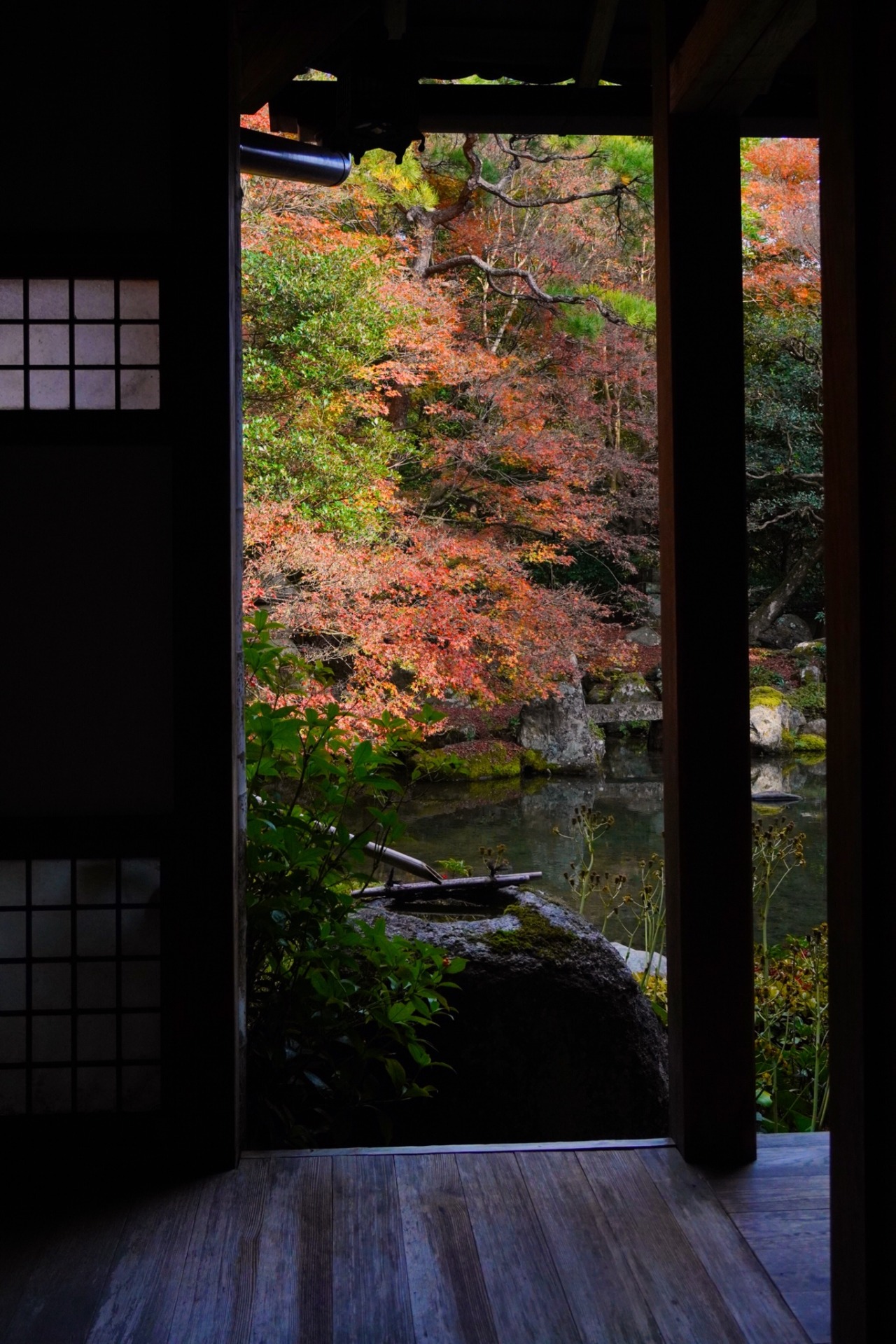 Tactics Comrades 京都蓮華寺 紅葉 Kyoto Rengeji Temple Autumn Tactics Comrades 京都蓮華寺 紅葉 Kyoto Rengeji Temple Autumn