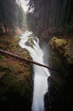 bathorynordland:  water water everywhere