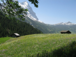 enchantinghearts:  A lovely Swiss landscape