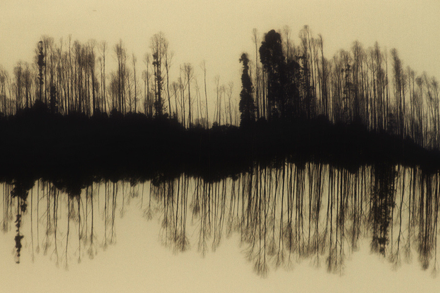 mydarkenedeyes:Rafael M. Milani