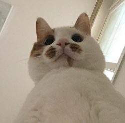 bethnya:  qncae:  when you accidentally open the front camera   ITs me 