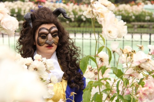 cosplayblog: Submission Weekend! Lady Beast from Beauty and the Beast Cosplayer/Submitter: sim-mione
