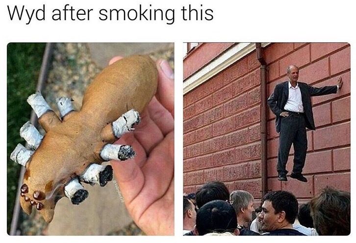 ankhpapi:ME  😂😂😂
