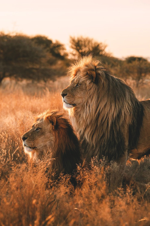 lsleofskye:Brothers | lebackpacker