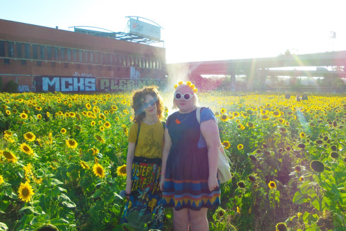 Sunflowers in inner city Melbourne www.fashionhayley.com/2014/02/sunflowers.html