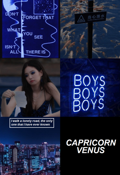 Venus signs aesthetics (10/12): Capricorn venus“Capricorn is the boss of the zodiac, and those