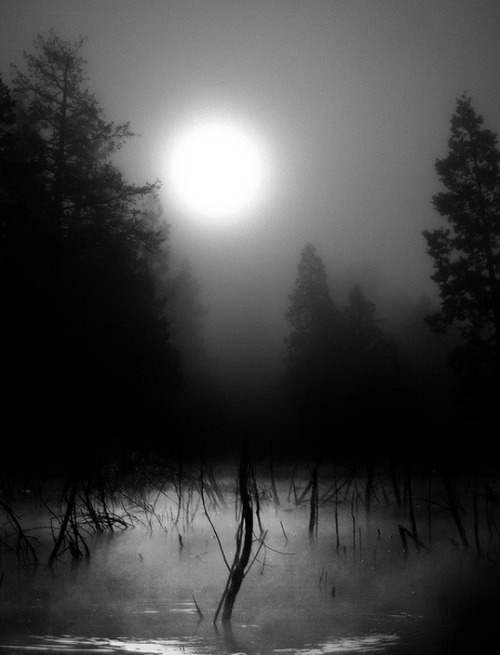 nameless-dead: October moon by ~leah praytor