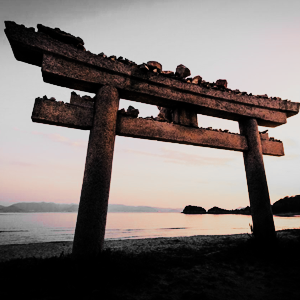 historyofromanovs:Language Moodboard ↠ Japanese