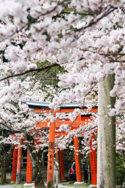 banshy:  Takenaka Inari // PV9007 Photography  