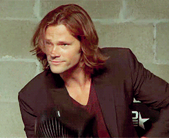 sanamdriel:  the fact that other fandoms think that their shaggy haired actor can beat this  