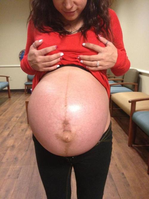 preggo nation