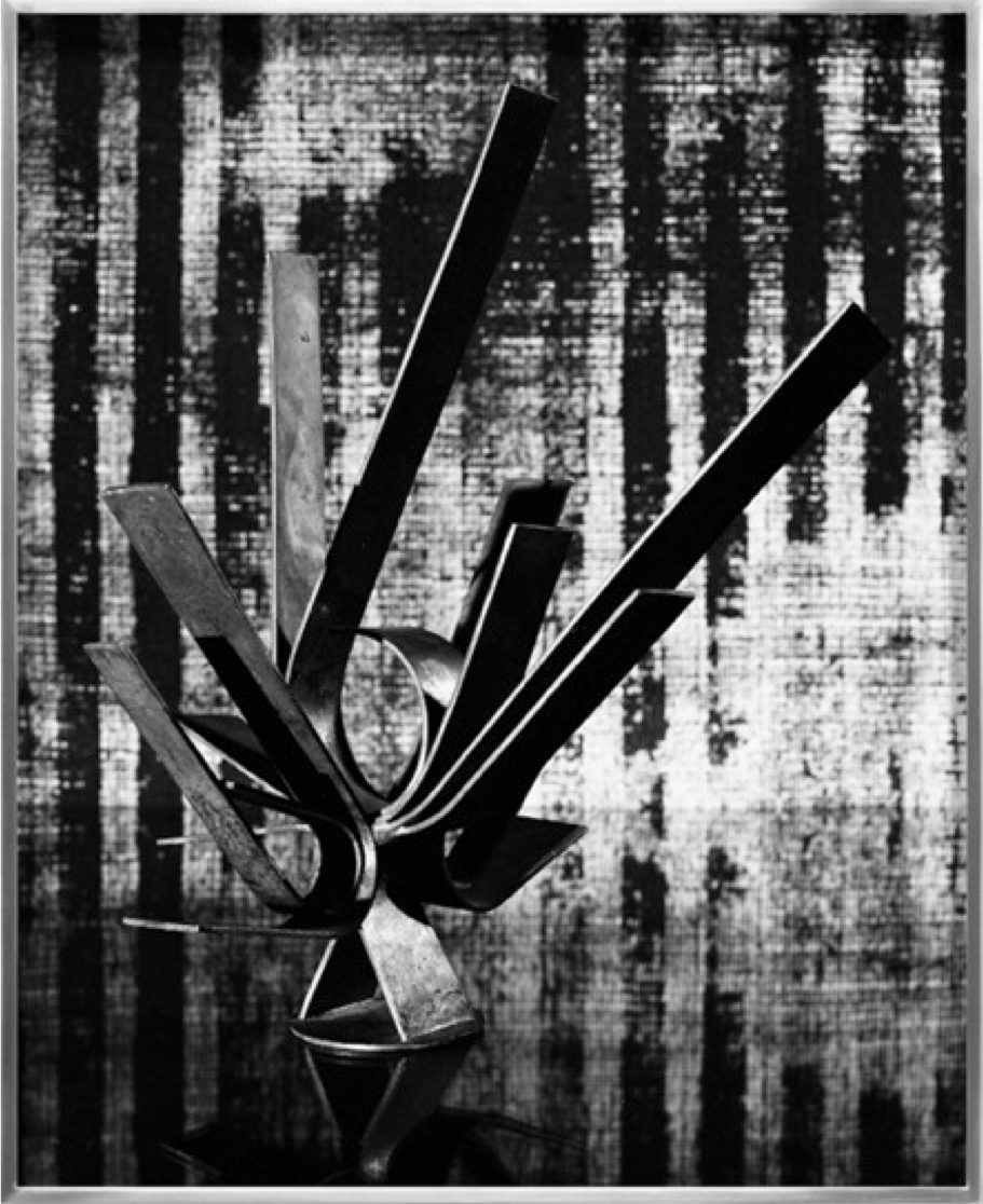 vivipiuomeno1:  Brett Cody Rogers art. - Photography about his father’s sculptures
