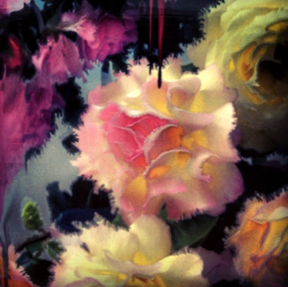 gaksdesigns:  Photographer Nick Knight’s Flora