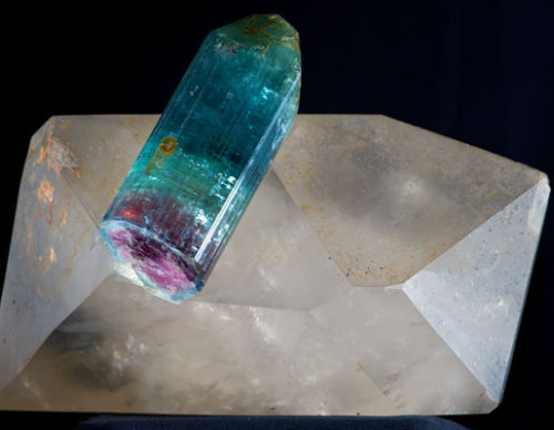mineralists:  Watermelon Tourmaline on Quartz 