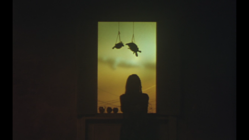 quadernino:Undo (アンドゥー), Shunji Iwai. 1994
