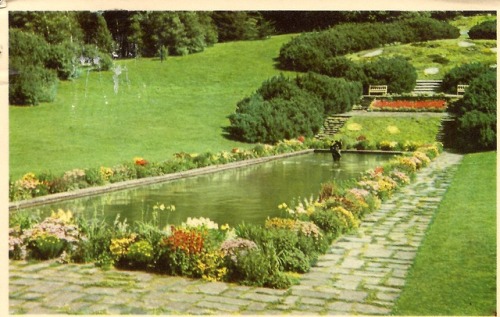 Postcard: “Göteborg. Botaniska Trägården (sic)” 1950s.Mailed from what in English is called Gothenbu