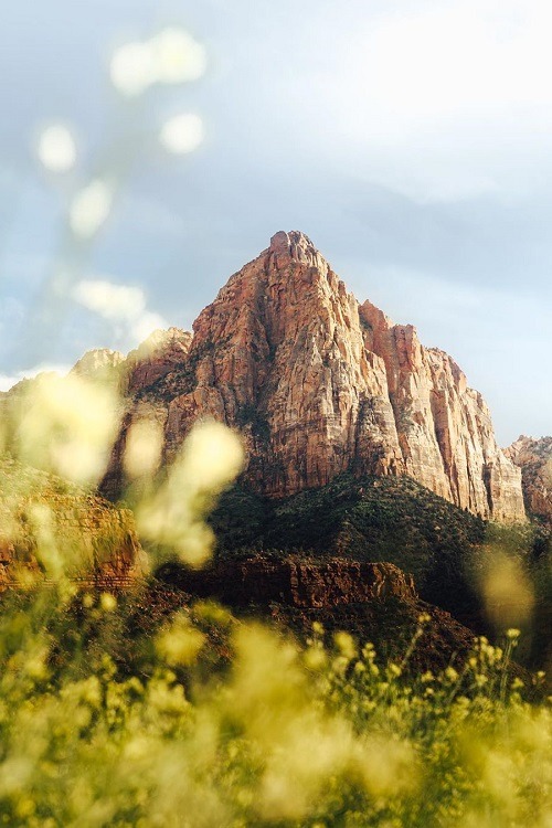 ponderation:  Jake Brown