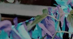 wesandresons:  wesandresons:gtkmm: favourite films [1/10]  / about time (2013)“