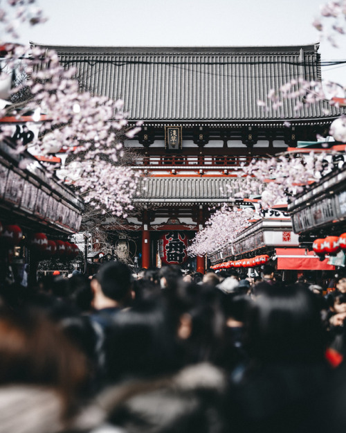 446i:Street scene, Asakusa     Instagram / Facebook / Twitter 