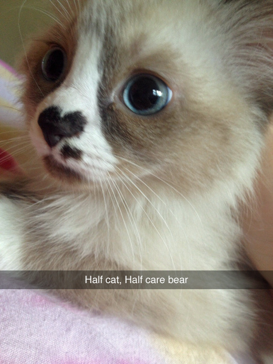 tastefullyoffensive:  [via]