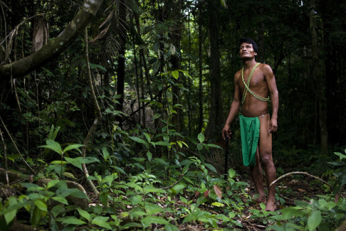 Embera man by Jarek WilkiewiczEmbera indians live in remote province of Panama called Darien. I