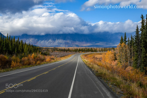 Yukon Road Autumn Forest Kluane by Simonphotoworld