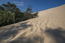 socialfoto:dunes by danfelix #SocialFoto